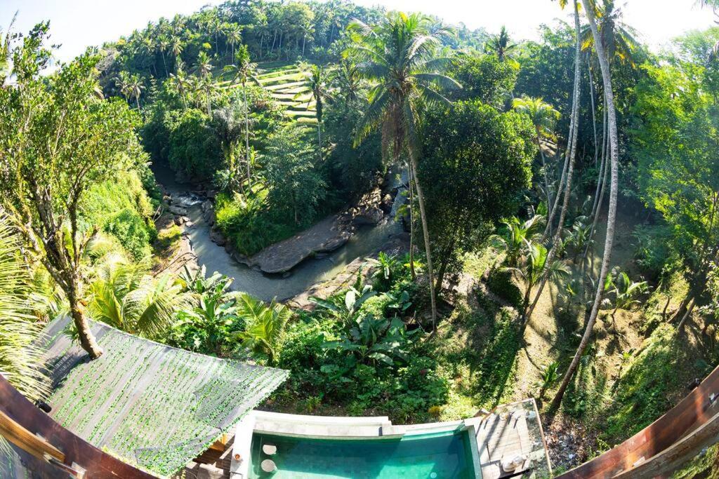 Ubud Riverside Villa Buitenkant foto