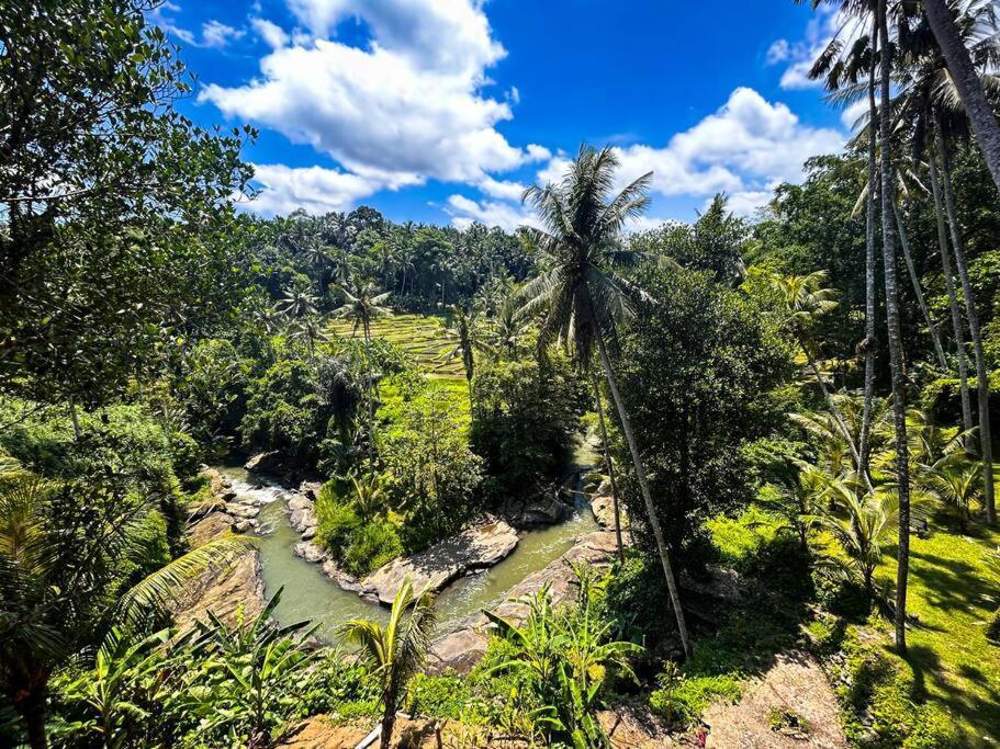 Ubud Riverside Villa Buitenkant foto